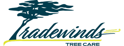 Tradewinds Tree Care LLC
